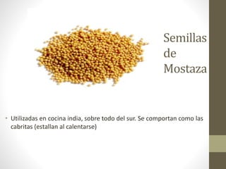 Semillas
de
Mostaza
• Utilizadas en cocina india, sobre todo del sur. Se comportan como las
cabritas (estallan al calentarse)
 