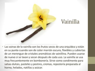 Vainilla
• Las vainas de la vainilla son los frutos secos de una orquídea y están
en su punto cuando son de color marrón oscuro, flexibles y cubiertas
de un merengue de cristales aromáticos de vainillina. Pueden usarse
de nuevo si se lavan y secan después de cada uso. La vainilla se usa
muy frecuentemente en bombonería. Sirve como condimento para
salsas dulces, pasteles y postres, cremas, repostería preparada al
horno, helados, natillas y azúcar.
 