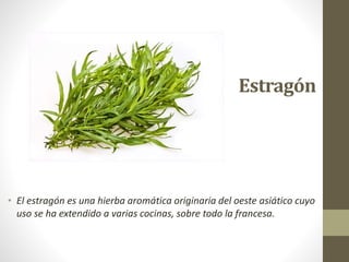 Estragón
• El estragón es una hierba aromática originaria del oeste asiático cuyo
uso se ha extendido a varias cocinas, sobre todo la francesa.
 