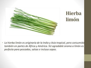 Hierba
limón
• La hierba limón es originaria de la India y Asia tropical, pero consumido
también en partes de África y América. SU agradable aroma a limón es
perfecto para pescados, salsas e incluso sopas.
 