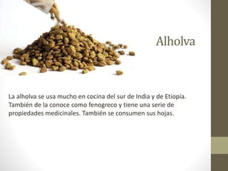 Alholva
La alholva se usa mucho en cocina del sur de India y de Etiopía.
También de la conoce como fenogreco y tiene una serie de
propiedades medicinales. También se consumen sus hojas.
 