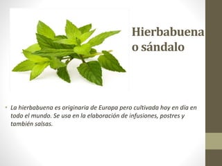 Hierbabuena
o sándalo
• La hierbabuena es originaria de Europa pero cultivada hoy en día en
todo el mundo. Se usa en la elaboración de infusiones, postres y
también salsas.
 