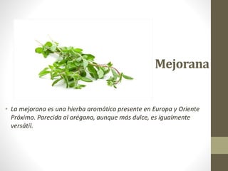 Mejorana
• La mejorana es una hierba aromática presente en Europa y Oriente
Próximo. Parecida al orégano, aunque más dulce, es igualmente
versátil.
 