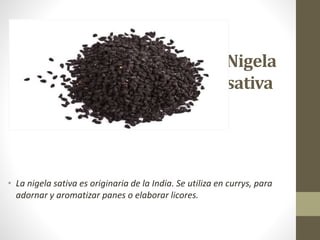 Nigela
sativa
• La nigela sativa es originaria de la India. Se utiliza en currys, para
adornar y aromatizar panes o elaborar licores.
 