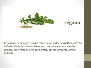 Orégano
• El orégano es de origen mediterráneo y del sudoeste asiático. Estrella
indiscutible de la cocina italiana, pero presente en otras muchas
cocinas. Muy versátil, sirve para pizzas, pastas, verduras, carnes,
pescados
 