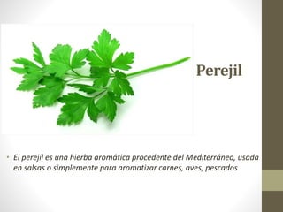Perejil
• El perejil es una hierba aromática procedente del Mediterráneo, usada
en salsas o simplemente para aromatizar carnes, aves, pescados
 