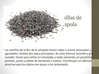 semillas de
Amapola
• Las semillas de la flor de la amapola tienen sabor y aroma anuezados y
agradables. Existen dos tipos principales: de color blanco/ amarillo y gris
azulado. Sirven para aliños en ensaladas y están presentes en pastelillos,
pasteles, panes y platos de hortalizas y huevos. Constituyen un aderezo
atractivo para los platos con queso y los tentempiés.
 