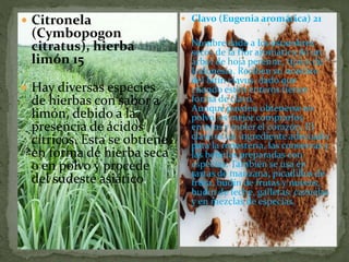  Citronela
(Cymbopogon
citratus), hierba
limón 15
 Hay diversas especies
de hierbas con sabor a
limón, debido a la
presencia de ácidos
cítricos. Esta se obtiene
en forma de hierba seca
o en polvo y procede
del sudeste asiático.
 Clavo (Eugenia aromática) 21
 Nombre dado a los estambres
secos de la flor aromática de un
árbol de hoja perenne, típico de
Indonesia. Reciben su nombre
del latín clavus, dado que
cuando están enteros tienen
forma de clavo.
Aunque pueden obtenerse en
polvo, es mejor comprarlos
enteros y moler el corazón. El
clavo es un ingrediente adecuado
para la repostería, las conservas y
las bebidas preparadas con
especias. También se usa en
tartas de manzana, picadillos de
fruta, budín de frutas y nueces,
budín de leche, galletas, cazuelas
y en mezclas de especias.
 