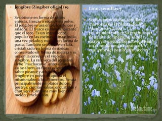  Jengibre (Zingiber oficial) 19
 Se obtiene en forma de raíces
enteras, frescas o secas, y en polvo.
El jengibre se usa en platos dulces y
salados. El fresco es menos "picante"
que el seco. Es un ingrediente
popular en las cocinas china e india,
una vez pelado y molido en forma de
pasta. También se obtiene en lata,
cristalizado en forma de azúcar,
conservado en forma de melaza y se
usa en la cerveza y el vino de
jengibre. La raíz seca del jengibre
debe "machacarse" antes de su uso:
así se abren las fibras y desprende un
sabor picante y aromático. El
jengibre en polvo no aporta el
mismo sabor a los alimentos. Se usa
principalmente en platos dulces,
postres, cremas, salsas, encurtidos y
chutneys. Combina muy bien con
melón y melocotón.
 Lino, semillas 7
 Son las minúsculas semillas
marrones de la planta del lino.
Aunque se utiliza
principalmente en la producción
de aceite de linaza, su sabor
suave y anuezado lo convierte en
un complemento exquisito y
crujiente del pan recién hecho.
 