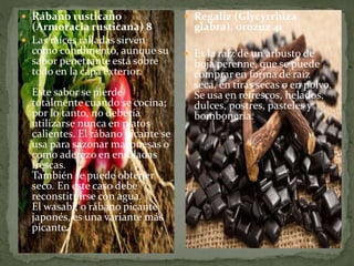  Rábano rusticano
(Armoracia rusticana) 8
 Las raíces ralladas sirven
como condimento, aunque su
sabor penetrante está sobre
todo en la capa exterior.
Este sabor se pierde
totalmente cuando se cocina;
por lo tanto, no debería
utilizarse nunca en platos
calientes. El rábano picante se
usa para sazonar mayonesas o
como aderezo en ensaladas
frescas.
También se puede obtener
seco. En este caso debe
reconstituirse con agua.
El wasabi, o rábano picante
japonés, es una variante más
picante.
 Regaliz (Glycyrrhiza
glabra), orozuz 41
 Es la raíz de un arbusto de
hoja perenne, que se puede
comprar en forma de raíz
seca, en tiras secas o en polvo.
Se usa en refrescos, helados,
dulces, postres, pasteles y
bombonería.
 