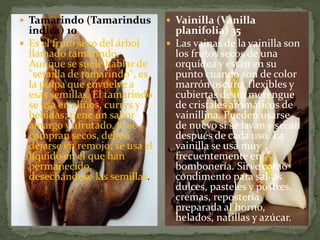  Tamarindo (Tamarindus
indica) 10
 Es el fruto seco del árbol
llamado tamarindo.
Aunque se suele hablar de
"semilla de tamarindo", es
la pulpa que envuelve a
esas semillas. El tamarindo
se usa en aliños, currys y
bebidas; tiene un sabor
amargo y afrutado. Si se
compran secos, deben
dejarse en remojo; se usa el
líquido en el que han
permanecido,
desechándose las semillas.
 Vainilla (Vanilla
planifolia) 35
 Las vainas de la vainilla son
los frutos secos de una
orquídea y están en su
punto cuando son de color
marrón oscuro, flexibles y
cubiertas de un merengue
de cristales aromáticos de
vainillina. Pueden usarse
de nuevo si se lavan y secan
después de cada uso. La
vainilla se usa muy
frecuentemente en
bombonería. Sirve como
condimento para salsas
dulces, pasteles y postres,
cremas, repostería
preparada al horno,
helados, natillas y azúcar.
 