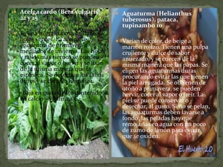  Acelga cardo (Beta vulgaris)
22 y 25
 Es una hortaliza con brillantes
hojas verdes. La acelga se
encuentra de primavera a
mediados de invierno. Las hojas
y tallos más tiernos se pueden
cocer al vapor o hervir y se usan
de la misma manera que la
espinaca. Se desechan los tallos
duros y se corta la hortaliza.
-Baja en grasas. Alto contenido
en calcio y vitamina C.
 Aguaturma (Helianthus
tuberosus), pataca,
tupinambo 10
 Varían de color, de beige a
marrón rojizo. Tienen una pulpa
crujiente y dulce de sabor
anuezado, y se cuecen de la
misma manera que las papas. Se
eligen las aguaturmas duras
procurando evitar las que tienen
la piel arrugada. Se obtienen de
otoño a primavera, se pueden
hervir, cocer al vapor o freír. La
piel se puede conservar o
desechar, al gusto. Si no se pelan,
las aguaturmas deben lavarse a
fondo; las peladas hay que
remojarlas en agua con un poco
de zumo de limón para evitar
que se oxiden.
 