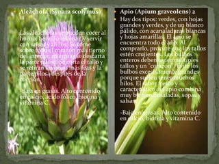  Alcachofa (Synara scolymus)
11
 Las alcachofas se pueden cocer al
horno, hervir o rellenar, y servir
con salsas y aliños. Se come
sobre todo el corazón más tierno
del interior, mientras se descarta
la parte pilosa. Se corta el tallo y
se retiran las hojas más feas y la
parte pilosa después de la
cocción.
-Baja en grasas. Alto contenido
en calcio, ácido fólico, biotina y
vitamina C.
 Apio (Apium graveolens) 2
 Hay dos tipos: verdes, con hojas
grandes y verdes, y de un blanco
pálido, con acanaladuras blancas
y hojas amarillas. El apio se
encuentra todo el año. Al
comprarlo, procure que los tallos
estén crujientes. Los bulbos
enteros deben tener múltiples
tallos y un "corazón". Evite los
bulbos excesivamente grandes
porque suelen tener muchos
hilos. El sabor fresco y
característico del apio combina
muy bien en ensaladas, sopas y
salsas.
-Bajo en grasas. Alto contenido
en calcio, biotina y vitamina C.
 