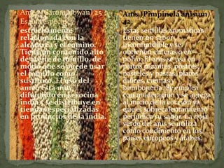  Ameo (Carum ajowan) 25
 Es una especie
 estrechamente
relacionada con la
alcaravea y el comino.
Tiene un contenido alto
de aceite de tomillo, de
modo que se puede usar
el tomillo como
sustituto. El uso del
ameo está muy
difundido en la cocina
india y se distribuye en
tiendas especializadas
en productos de la india.
 Anís (Pimpinela anisum)
42
 Estas semillas aromáticas
tienen un sabor
inconfundible y se
obtienen enteras o en
polvo. El anís se usa en
platos picantes, postres,
pasteles y pastas, platos
dulces, cremas y
bombonería. Se emplea
con moderación y se agrega
al inicio de la cocción ya
que el sobrecalentamiento
perjudica su sabor. La hoja
verde del anís se utiliza
como condimento en los
países europeos y árabes.
 