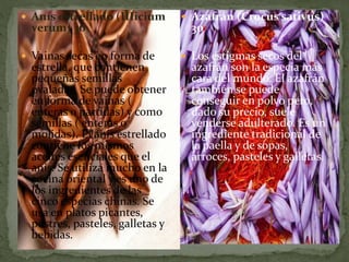  Anís estrellado (IIIicium
verum) 36
 Vainas secas en forma de
estrella, que contienen
pequeñas semillas
ovaladas. Se puede obtener
en forma de vainas (
enteras o partidas) y como
semillas ( enteras o
molidas). El anís estrellado
contiene los mismos
aceites esenciales que el
anís. Se utiliza mucho en la
cocina oriental y es uno de
los ingredientes de las
cinco especias chinas. Se
usa en platos picantes,
postres, pasteles, galletas y
bebidas.
 Azafrán (Crocus sativus)
30
 Los estigmas secos del
azafrán son la especia más
cara del mundo. El azafrán
también se puede
conseguir en polvo pero,
dado su precio, suele
venderse adulterado. Es un
ingrediente tradicional de
la paella y de sopas,
arroces, pasteles y galletas.
 