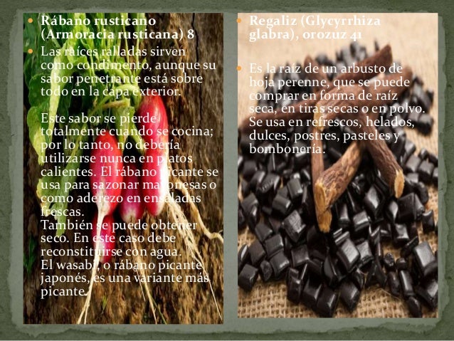 Resultado de imagen de armoracia rusticana semillas