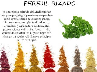 PEREJIL RIZADO
Es una planta oriunda del Mediterráneo
europeo que griegos y romanos empleaban
como aromatizante de diversos guisos.
Se consume como planta de aderezo,
aromática y sazonadora de diferentes
preparaciones culinarias. Posee un alto
contenido en vitamina C, y sus hojas son
ricas en un aceite volátil, cuyo principio
activo es el apio.
 