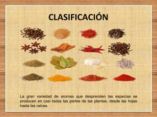 CLASIFICACIÓN
La gran variedad de aromas que desprenden las especias se
producen en casi todas las partes de las plantas, desde las hojas
hasta las raíces.
 