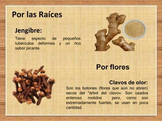 Por las Raíces
pequeños
y un rico
Jengibre:
Tiene aspecto de
tubérculos deformes
sabor picante.
Por flores
Clavos de olor:
Son los botones (flores que aún no abren)
secos del "árbol del
enteroso molidos
clavo«. Son usados
pero, como son
extremadamente fuertes, se usan en poca
cantidad.
 