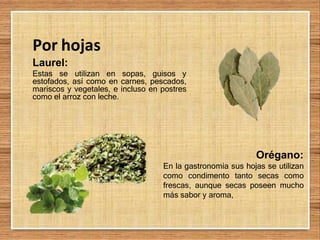 Por hojas
Laurel:
Estas se utilizan en sopas, guisos y
estofados, así como en carnes, pescados,
mariscos y vegetales, e incluso en postres
como el arroz con leche.
Orégano:
En la gastronomía sus hojas se utilizan
como condimento tanto secas como
frescas, aunque secas poseen mucho
más sabor y aroma,
 
