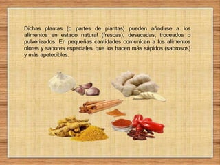 Dichas plantas (o partes de plantas) pueden añadirse a los
alimentos en estado natural (frescas), desecadas, troceados o
pulverizados. En pequeñas cantidades comunican a los alimentos
olores y sabores especiales que los hacen más sápidos (sabrosos)
y más apetecibles.
 