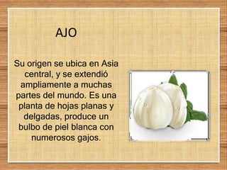 AJO
Su origen se ubica en Asia
central, y se extendió
ampliamente a muchas
partes del mundo. Es una
planta de hojas planas y
delgadas, produce un
bulbo de piel blanca con
numerosos gajos.
 