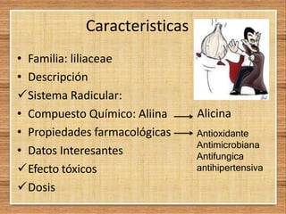 Caracteristicas
• Familia: liliaceae
• Descripción
Sistema Radicular:
• Compuesto Químico: Aliina
• Propiedades farmacológicas
• Datos Interesantes
Efecto tóxicos
Dosis
Alicina
Antioxidante
Antimicrobiana
Antifungica
antihipertensiva
 