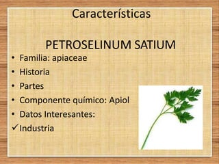 Características
PETROSELINUM SATIUM
• Familia: apiaceae
• Historia
• Partes
• Componente químico: Apiol
• Datos Interesantes:
Industria
 