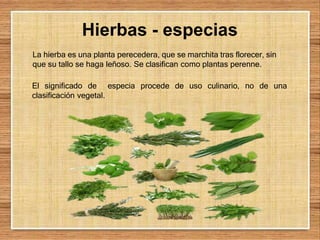 Hierbas - especias
La hierba es una planta perecedera, que se marchita tras florecer, sin
que su tallo se haga leñoso. Se clasifican como plantas perenne.
El significado de especia procede de uso culinario, no de una
clasificación vegetal.
 