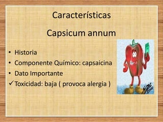 Características
Capsicum annum
• Historia
• Componente Químico: capsaicina
• Dato Importante
Toxicidad: baja ( provoca alergia )
 