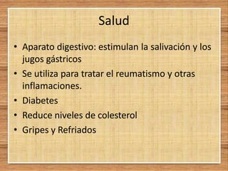 Salud
• Aparato digestivo: estimulan la salivación y los
jugos gástricos
• Se utiliza para tratar el reumatismo y otras
inflamaciones.
• Diabetes
• Reduce niveles de colesterol
• Gripes y Refriados
 