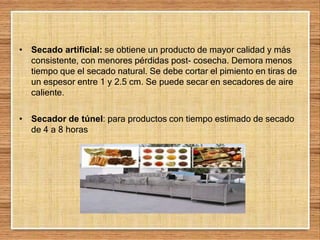 • Secado artificial: se obtiene un producto de mayor calidad y más
consistente, con menores pérdidas post- cosecha. Demora menos
tiempo que el secado natural. Se debe cortar el pimiento en tiras de
un espesor entre 1 y 2.5 cm. Se puede secar en secadores de aire
caliente.
• Secador de túnel: para productos con tiempo estimado de secado
de 4 a 8 horas
 