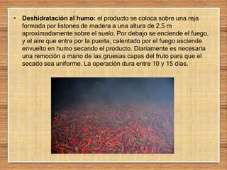 • Deshidratación al humo: el producto se coloca sobre una reja
formada por listones de madera a una altura de 2.5 m
aproximadamente sobre el suelo. Por debajo se enciende el fuego,
y el aire que entra por la puerta, calentado por el fuego asciende
envuelto en humo secando el producto. Diariamente es necesaria
una remoción a mano de las gruesas capas del fruto para que el
secado sea uniforme. La operación dura entre 10 y 15 días.
 