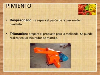 PIMIENTO
• Despezonado: se separa el pezón de la cáscara del
pimiento.
• Trituración: prepara el producto para la molienda. Se puede
realizar en un triturador de martillo.
 