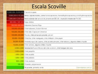 Escala Scoville
 