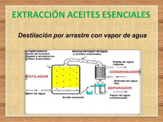 EXTRACCIÓN ACEITES ESENCIALES
Destilación por arrastre con vapor de agua
 