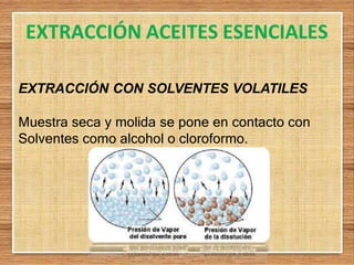 EXTRACCIÓN ACEITES ESENCIALES
EXTRACCIÓN CON SOLVENTES VOLATILES
Muestra seca y molida se pone en contacto con
Solventes como alcohol o cloroformo.
 