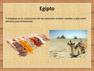 Egipto
Trabajaban en la construcción de las pirámides recibían cebollas y ajos como
alimento para fortalecerse.
 