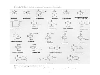 Tipos de estructura de los AE
 