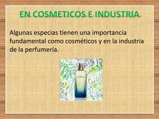 EN COSMETICOS E INDUSTRIA
Algunas especias tienen una importancia
fundamental como cosméticos y en la industria
de la perfumería.
 