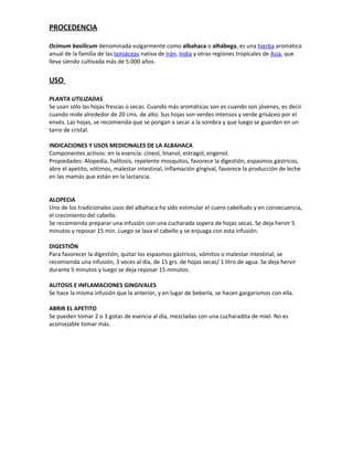 PROCEDENCIA

Ocimum basilicum denominada vulgarmente como albahaca o alhábega, es una hierba aromática
anual de la familia de las lamiáceas nativa de Irán, India y otras regiones tropicales de Asia, que
lleva siendo cultivada más de 5.000 años.


USO

PLANTA UTILIZADAS
Se usan sólo las hojas frescas o secas. Cuando más aromáticas son es cuando son jóvenes, es decir
cuando mide alrededor de 20 cms. de alto. Sus hojas son verdes intensos y verde grisáceo por el
envés. Las hojas, se recomienda que se pongan a secar a la sombra y que luego se guarden en un
tarro de cristal.

INDICACIONES Y USOS MEDICINALES DE LA ALBAHACA
Componentes activos: en la esencia: cineol, linanol, estragol, engenol.
Propiedades: Alopedia, halitosis, repelente mosquitos, favorece la digestión, espasmos gástricos,
abre el apetito, vótimos, malestar intestinal, inflamación gingival, favorece la producción de leche
en las mamás que están en la lactancia.


ALOPECIA
Uno de los tradicionales usos del albahaca ha sido estimular el cuero cabelludo y en consecuencia,
el crecimiento del cabello.
Se recomienda preparar una infusión con una cucharada sopera de hojas secas. Se deja hervir 5
minutos y reposar 15 min. Luego se lava el cabello y se enjuaga con esta infusión.

DIGESTIÓN
Para favorecer la digestión, quitar los espasmos gástricos, vómitos o malestar intestinal, se
recomienda una infusión, 3 veces al día, de 15 grs. de hojas secas/ 1 litro de agua. Se deja hervir
durante 5 minutos y luego se deja reposar 15 minutos.

ALITOSIS E INFLAMACIONES GINGIVALES
Se hace la misma infusión que la anterior, y en lugar de beberla, se hacen gargarismos con ella.

ABRIR EL APETITO
Se pueden tomar 2 o 3 gotas de esencia al día, mezcladas con una cucharadita de miel. No es
aconsejable tomar más.
 