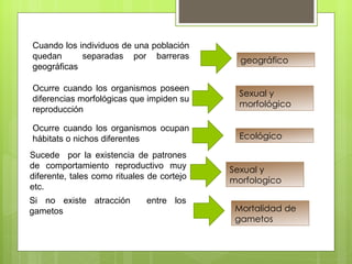 Cuando los individuos de una población
quedan      separadas por barreras            geográfico
geográficas

Ocurre cuando los organismos poseen
                                              Sexual y
diferencias morfológicas que impiden su
                                              morfológico
reproducción

Ocurre cuando los organismos ocupan
hábitats o nichos diferentes                  Ecológico

Sucede por la existencia de patrones
de comportamiento reproductivo muy          Sexual y
diferente, tales como rituales de cortejo   morfologico
etc.
Si no existe atracción        entre los
gametos                                      Mortalidad de
                                             gametos
 