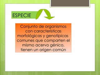 ESPECIE

  Conjunto de organismos
      con características
 morfológicas y genotípicas
 comunes que comparten el
    mismo acervo génico,
   tienen un origen común
 