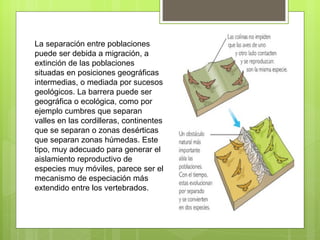 La separación entre poblaciones
puede ser debida a migración, a
extinción de las poblaciones
situadas en posiciones geográficas
intermedias, o mediada por sucesos
geológicos. La barrera puede ser
geográfica o ecológica, como por
ejemplo cumbres que separan
valles en las cordilleras, continentes
que se separan o zonas desérticas
que separan zonas húmedas. Este
tipo, muy adecuado para generar el
aislamiento reproductivo de
especies muy móviles, parece ser el
mecanismo de especiación más
extendido entre los vertebrados.
 