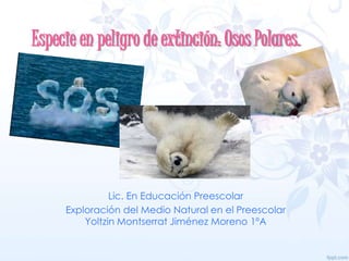 Especie en peligro de extinción: Osos Polares.
Lic. En Educación Preescolar
Exploración del Medio Natural en el Preescolar
Yoltzin Montserrat Jiménez Moreno 1ºA
 