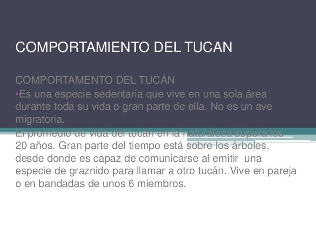 Que preservativos escoger si el miembro pequeño