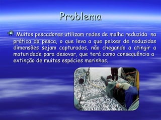 ProblemaProblema
Muitos pescadores utilizam redes de malha reduzida naMuitos pescadores utilizam redes de malha reduzida na
prática da pesca, o que leva a que peixes de reduzidasprática da pesca, o que leva a que peixes de reduzidas
dimensões sejam capturados, não chegando a atingir adimensões sejam capturados, não chegando a atingir a
maturidade para desovar, que terá como consequência amaturidade para desovar, que terá como consequência a
extinção de muitas espécies marinhas.extinção de muitas espécies marinhas.
 