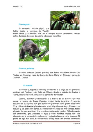Especies en-peligro-de-extinción-1 | PDF