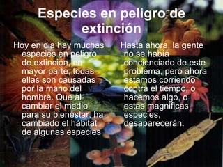 Especies en peligro de extinción ,[object Object],[object Object]