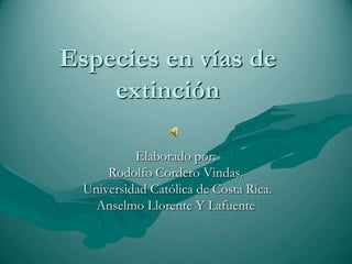 Especies en vías de extinción Elaborado por:  Rodolfo Cordero Vindas.  Universidad Católica de Costa Rica.  Anselmo Llorente Y Lafuente  